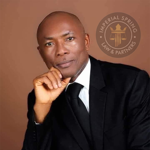Dennis Okwakpam, Esq.