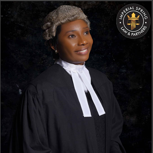 Mrs. Wuchegbule Amadi